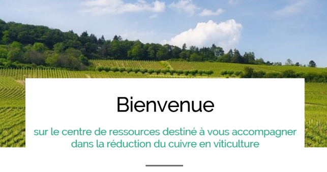 Un centre de ressources sur le cuivre en viticulture