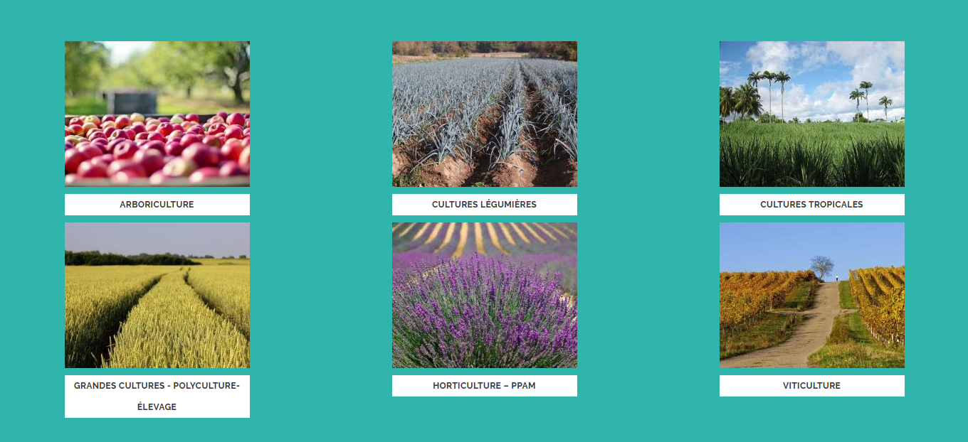 Un Centre de ressources sur le glyphosate