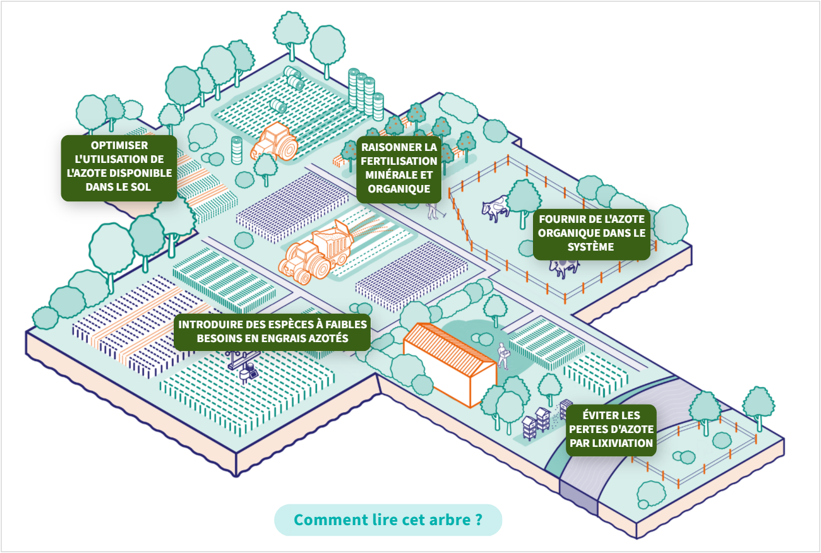 Des ressources techniques pour améliorer l’autonomie azotée