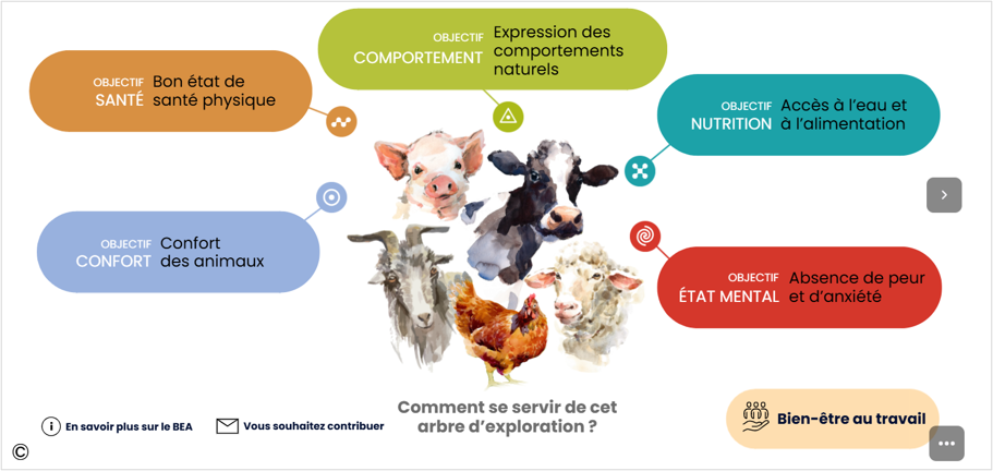 Des ressources techniques pour améliorer le bien-être des animaux en élevage