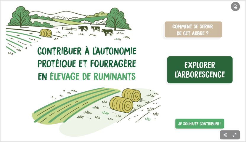 Des ressources techniques pour contribuer à l’autonomie protéique et fourragère en élevage de ruminants